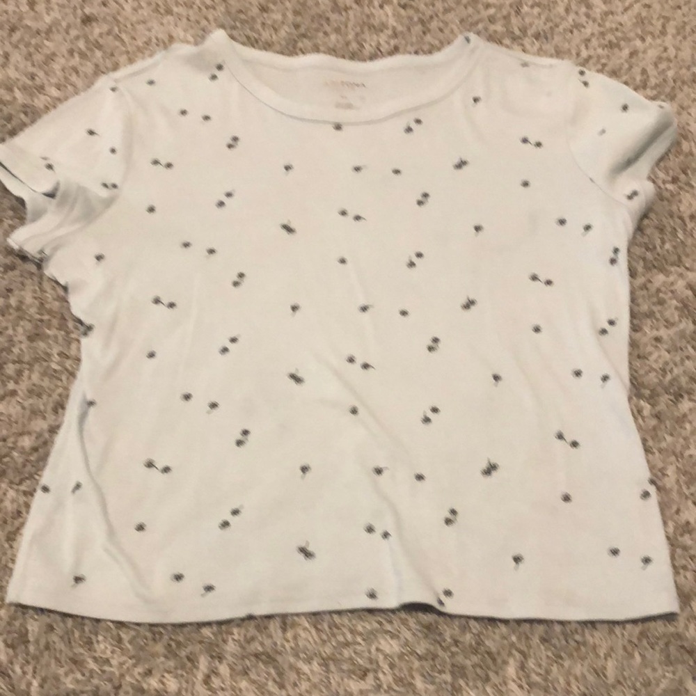 cute dandelion top arizona